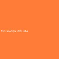 Mittelmäßiger Stahl-Schal